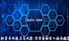 数字加密虚拟货币的魅力与风险：你准