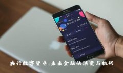 央行数字货币：未来金融的演变与挑战