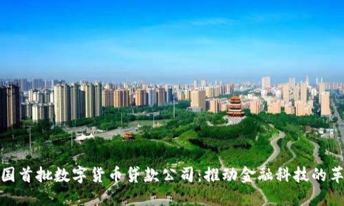 全国首批数字货币贷款公司:推动金融科技的革命