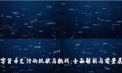 数字货币支付的现状与挑战：全面解析