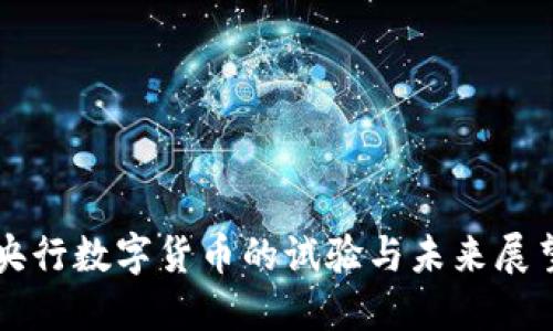 央行数字货币的试验与未来展望