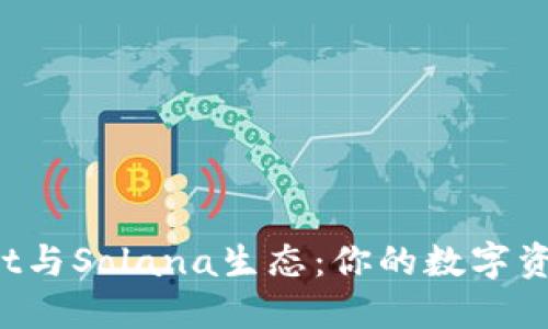 探索TP Wallet与Solana生态:你的数字资产管理新选择