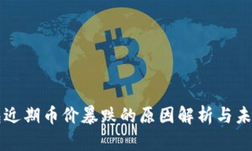 TP钱包近期币价暴跌的原因解析与未来展望