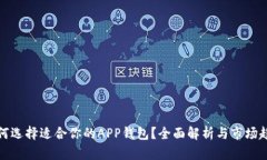如何选择适合你的APP钱包？全面解析与
