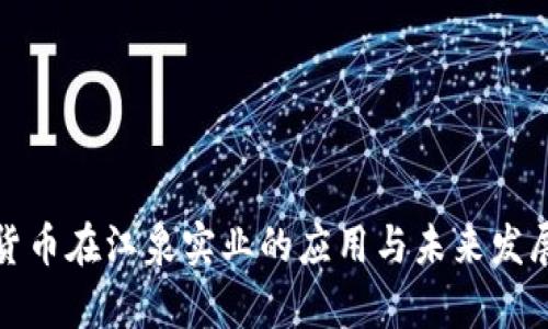 数字货币在江泉实业的应用与未来发展分析