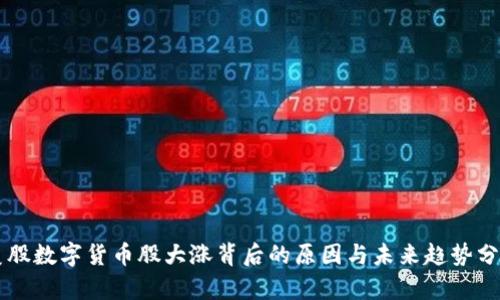 美股数字货币股大涨背后的原因与未来趋势分析