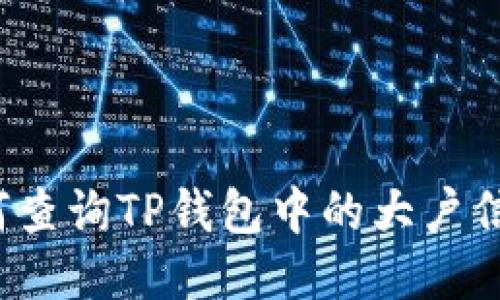 如何查询TP钱包中的大户信息?