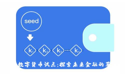 2017年数字货币试点:探索未来金融的革命之路