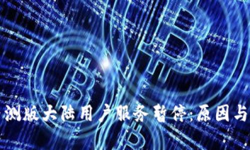 TP钱包内测版大陆用户服务暂停:原因与影响解析