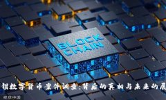 无锡数字货币案件调查：背后的真相与