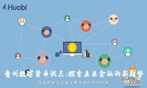 贵州数字货币试点:探索未来金融的新趋势