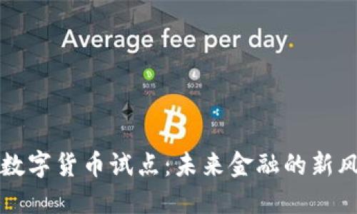北京数字货币试点:未来金融的新风向标