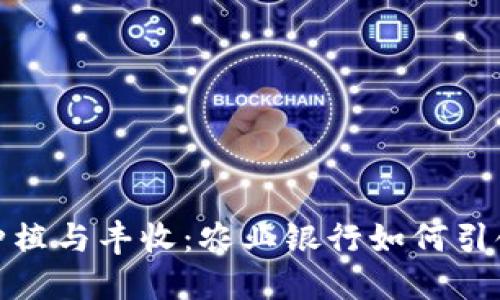 数字货币的种植与丰收:农业银行如何引领金融新时代