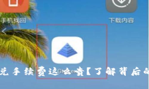 为什么TP钱包闪兑手续费这么贵?了解背后的原因与解决方法