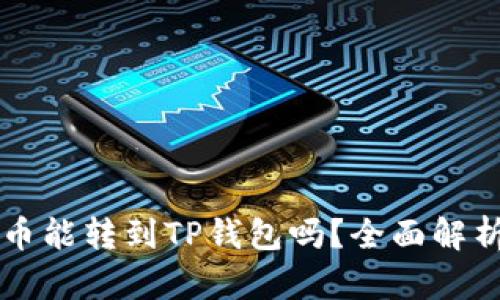 鲸交易所的币能转到TP钱包吗?全面解析与使用指南