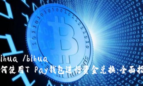  bihua /bihua
如何使用T Pay钱包进行资金兑换：全面指南