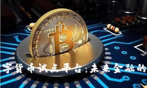 探索数字货币试点平台:未来金融的新篇章