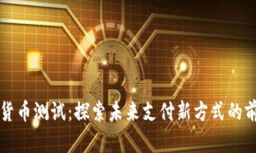 三亚数字货币测试：探索未来支付新方式的前沿与挑战