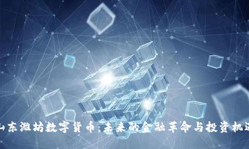 山东潍坊数字货币:未来的金融革命与投资机遇