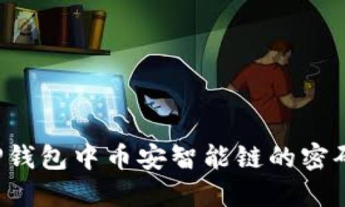 如何更改TP钱包中币安智能链的密码?详尽指南