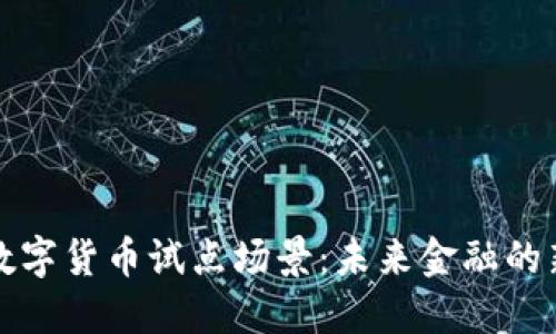 探秘数字货币试点场景：未来金融的新变革