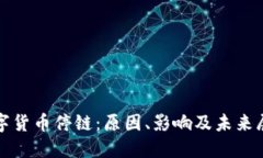 数字货币停链：原因、影响及未来展望