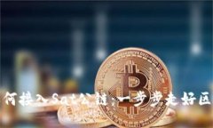 TP钱包如何接入Sat公链：一步步走好区