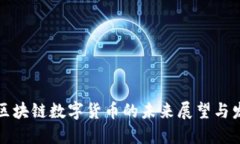 张利民区块链数字货币的未来展望与发