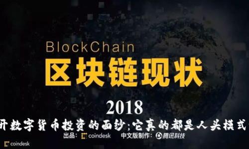 揭开数字货币投资的面纱：它真的都是人头模式吗？