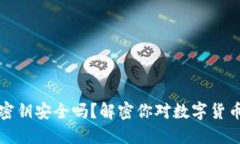 TP钱包密钥安全吗？解密你对数字货币