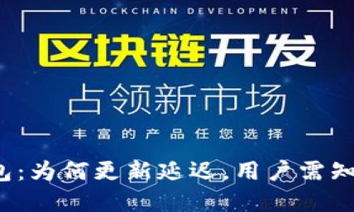 解密TP钱包:为何更新延迟,用户需知的4大原因