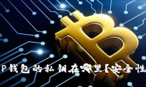 深入探讨:tP钱包的私钥在哪里?安全性与管理指南