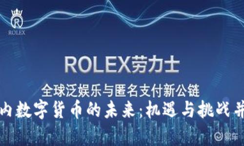 国内数字货币的未来:机遇与挑战并存