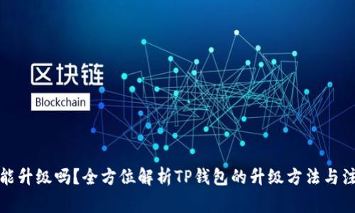 TP钱包能升级吗?全方位解析TP钱包的升级方法与注意事项