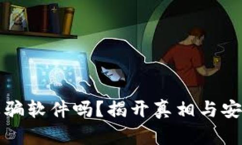 TP钱包是诈骗软件吗?揭开真相与安全使用指南