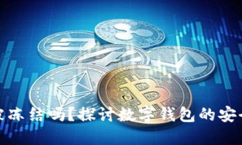 TP钱包能被冻结吗？探讨数字钱包的安全性与风险