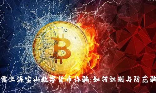 揭露上海宝山数字货币诈骗：如何识别与防范骗局