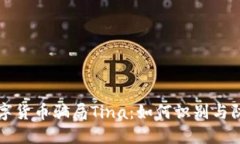 揭秘法国数字货币骗局Tina：如何识别