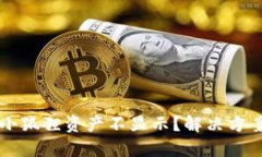 思考为何TP钱包导入小狐狸资产不显示