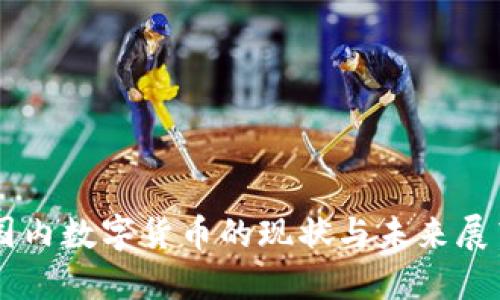 国内数字货币的现状与未来展望