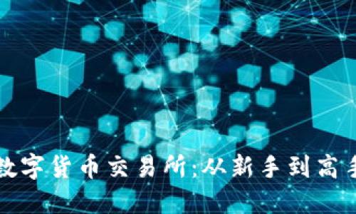 如何轻松开户数字货币交易所:从新手到高手的全方位指南