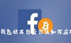 TP钱包被冻结后你该如何应对？