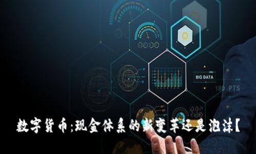 数字货币:现金体系的新变革还是泡沫?