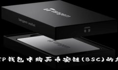 如何在TP钱包中购买币安链(BSC)的加密