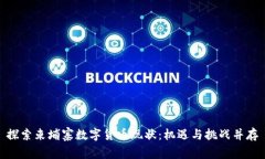 探索柬埔寨数字货币现状：机遇与挑战