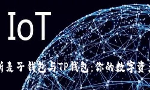 全方位解析麦子钱包与TP钱包:你的数字资产管理利器