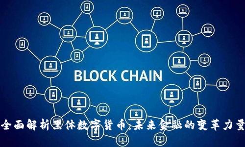 全面解析黑体数字货币：未来金融的变革力量