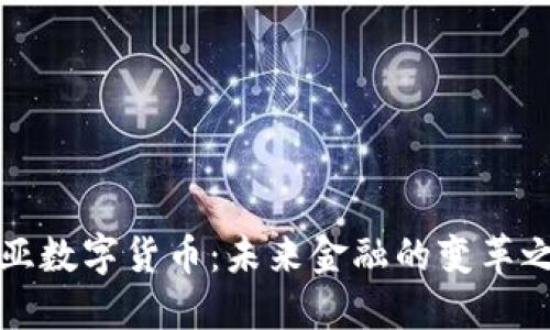 中亚数字货币:未来金融的变革之路