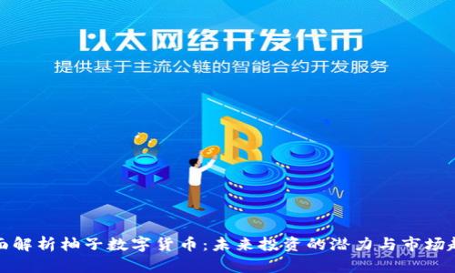 全面解析柚子数字货币:未来投资的潜力与市场趋势