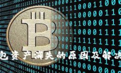 TP钱包资产消失的原因及解决方案